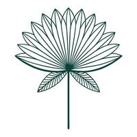 Minimal Structure Thin Bar Petal Flower and Flower Concept vector