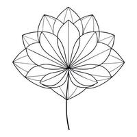 Delicate Precision Thin Wireframe Petal Flower and Flower Concept vector
