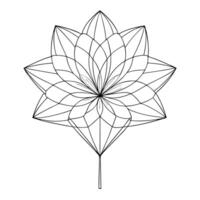 Elegant Delicate Precision Thin Wireframe Petal Flower and Flower Concept vector