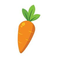 Modern Fresh Carrot Icon Symbolizing Healthy Food and Isolated Background vector