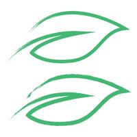 Two green leaves on a white background vector