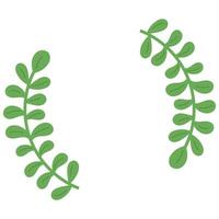 A laurel wreath with green leaves on it vector