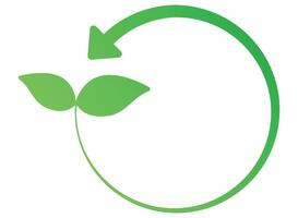 A green leaf with a circle around it vector