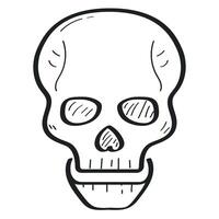 A skull with a mouth open in a line drawing vector