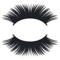 Eyelashes with a black background vector