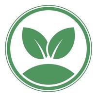 A green leaf icon on a white background vector