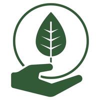 A green leaf in a hand icon vector