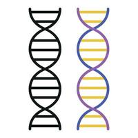 Two dna strands are shown in different colors vector