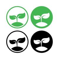 Set Of Growing Leaves Circles Set vector
