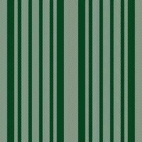 Lady stripe fabric , italian texture seamless background. Drawing vertical pattern lines textile in dark and snow colors. vector