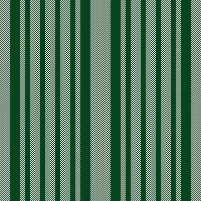 Lady stripe fabric , italian texture seamless background. Drawing vertical pattern lines textile in dark and snow colors.