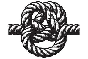 Secure rope knot tying illustration for nautical and marine applications vector