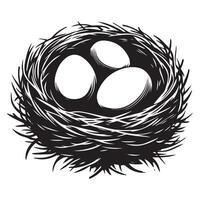 Illustration of three eggs securely nestled within bird nest vector