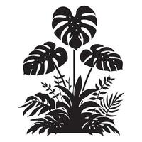 Tropical Monstera Plant Illustration for Exotic Greenery Designs vector