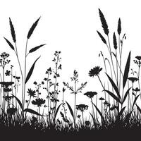 Silhouette Illustration of Wildflowers and Grasses for Design vector