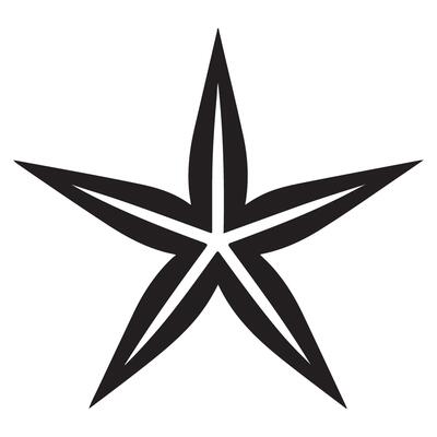 Sleek Star Illustration an Elegant and Modern Graphic Design