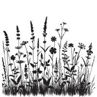 Black Silhouette Art of Wild Plants and Flowers for Designers vector