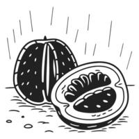 black and white stylized fruit illustration, sliced open with seeds graphic design with halved citrus, bold lines in vintage vector