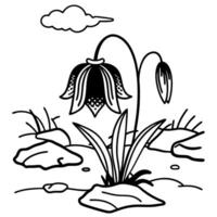 Line art of delicate, drooping flower in rocky garden setting with cloud overhead vector