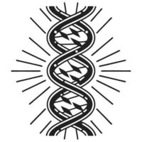 black and white dna helix design with sunburst pattern genetic science, biology, molecular structure illustration vector