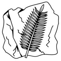 Fossilized fern leaf on stone prehistoric plant imprint in rock, nature's ancient history vector