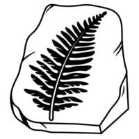 Fern fossil illustration on stone tablet detailed botanical art vector