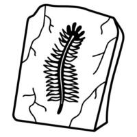 fossilized trilobite illustration on stone black and white drawing, ancient marine arthropod, detailed markings vector