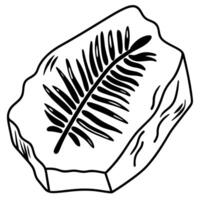 Fossilized fern leaf on rock illustration ancient botanical imprint, prehistoric plant preservation vector