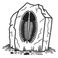 Trilobite fossil illustration in stone, ancient prehistoric arthropod art vector