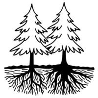 connected evergreen trees with roots symbol of growth, nature, and unity black and white minimalist design vector