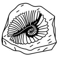 Geometric nautilus fossil illustration on stone background vector