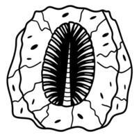 black and white detailed illustration of lotus seed pod botanical floral design element with unique organic texture vector