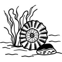 Ammonite fossil underwater scene with seaweed and stone marine life illustration, ancient shell design vector