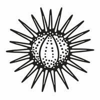 Abstract Monochrome Sea Urchin Illustration with Spiky and Dotted Design vector