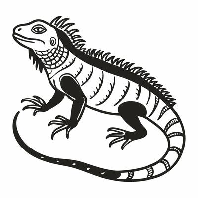 Detailed Black and White Iguana Illustration Reptile Design for Wildlife Art and Conservation