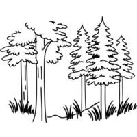 Illustration of evergreen and deciduous trees in forest setting hand drawn line art, nature scene vector