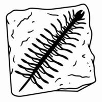 Fossil of ancient fern leaf imprint on stone, paleontology symbol, preserved nature history vector