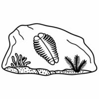 Trilobite fossil in stone slab prehistoric marine arthropod with ancient rock and aquatic plants vector
