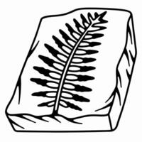 fossilized fern imprint on rock detailed leaf texture, ancient plant preservation in stone slab vector