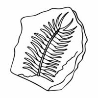 Fossil outline on stone slab, ancient fern leaf imprint paleontology, prehistoric plant impression vector