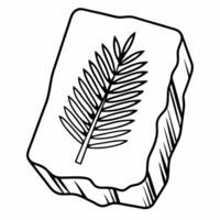 Minimalist fossil illustration palm leaf imprint on stone vector