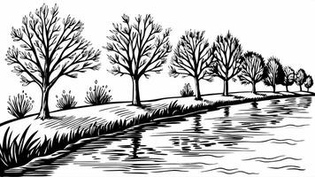 Serene Riverbank with Leafless Trees and Reflection in Black and White Illustration vector