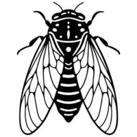 intricate cicada illustration displaying detailed wing patterns in black and white design vector