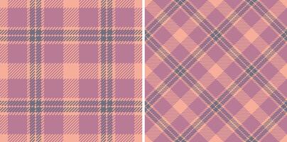 Elegant pastel plaid patterns, perfect for textile design, fashion, or scrapbooking projects. Two distinct yet complementary styles offer versatile design options. vector