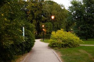 Winding park pathway with illuminated street lamps surrounded by lush greenery and trees at dusk. Evening park scenery and urban nature concept photo