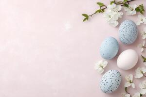 Colorful Easter eggs with cherry spring blossoms flat lay on pink background. photo