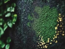 Moringa powder spread on a textured surface with greenery photo