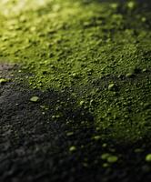Moringa powder on dark surface highlights its vibrant color photo