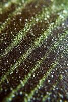 Moringa powder texture and color details on a dark surface photo