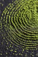 Moringa powder arranged in concentric circles on a dark surface photo